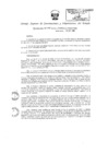 Vista preliminar de documento 13