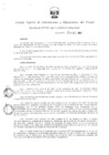 Vista preliminar de documento 30
