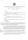 Vista preliminar de documento 101