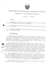Vista preliminar de documento 103