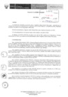 Vista preliminar de documento 183