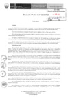 Vista preliminar de documento 228