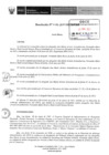 Vista preliminar de documento 224