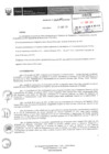 Vista preliminar de documento 233