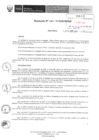 Vista preliminar de documento 234