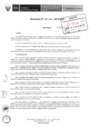 Vista preliminar de documento 235